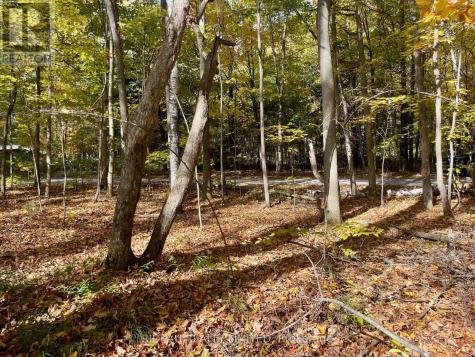 Point 38 Cedar Sands Road Rideau Lakes ON K0E 1N0