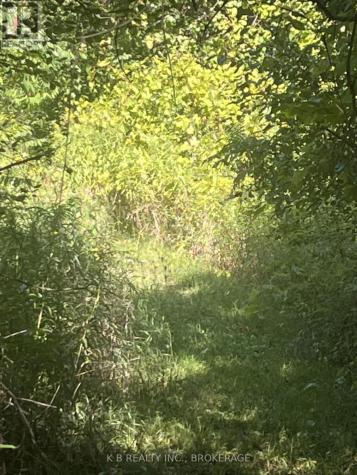 15598 County Road 2 Road Brighton ON K0K 1H0