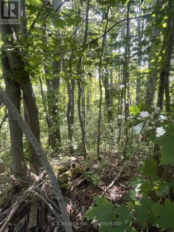 15598 County Road 2 Road Brighton ON K0K 1H0