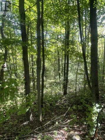 15598 County Road 2 Road Brighton ON K0K 1H0