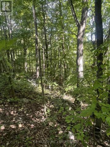 15598 County Road 2 Road Brighton ON K0K 1H0