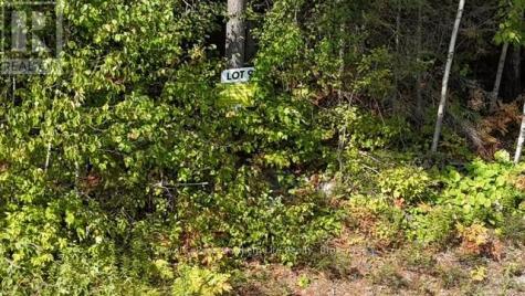 Lot 9 Fox Run Drive Temagami ON P0H 2H0