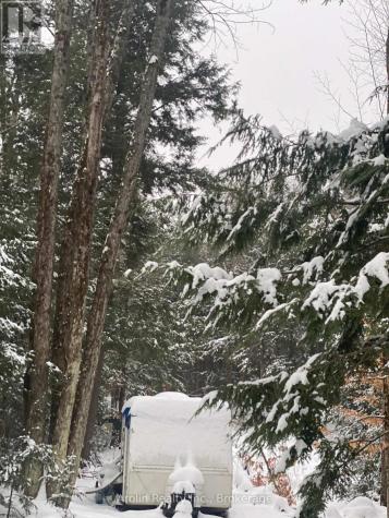 9 Woods Bay Road North Kawartha ON K0L 1A0