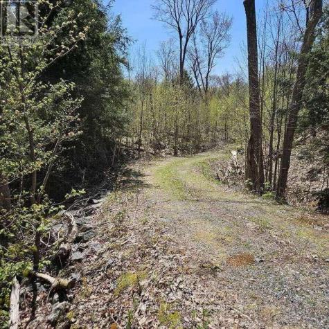 26 Fox Farm Road Mckellar ON P0G 1C0