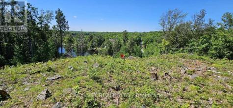 26 Fox Farm Road Mckellar ON P0G 1C0