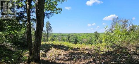 26 Fox Farm Road Mckellar ON P0G 1C0