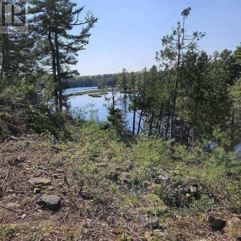 26 Fox Farm Road Mckellar ON P0G 1C0