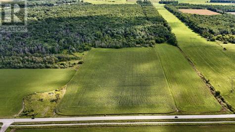 5231 13th Line New Tecumseth ON L0G 1B0