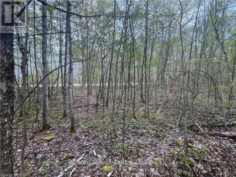 Lot 5 Grey Road 1 Georgian Bluffs ON N0H 2T0