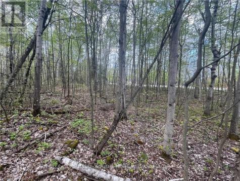 Lot 5 Grey Road 1 Georgian Bluffs ON N0H 2T0