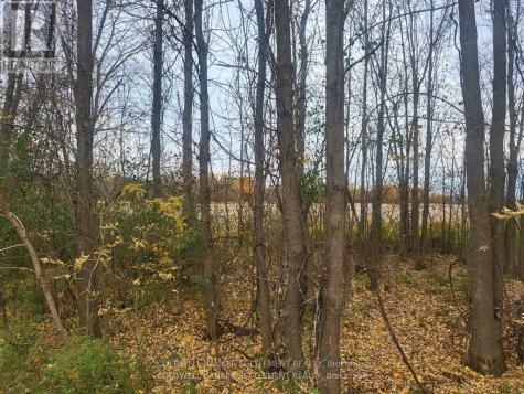Lot 5 Bush Road Rideau Lakes ON K0G 1E0