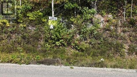 Lot 5 Fox Run Drive Temagami ON P0H 2H0