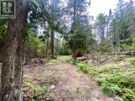 262 Johnsons Harbour Road Northern Bruce Peninsula ON N0H 2R0