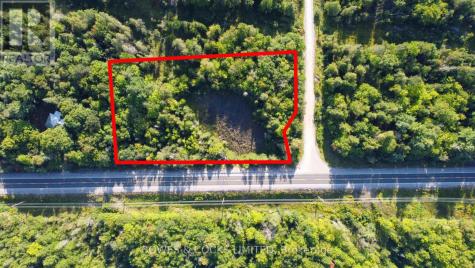 Con 6 Point Lt 35 Highway 28 North Kawartha ON K0L 1A0