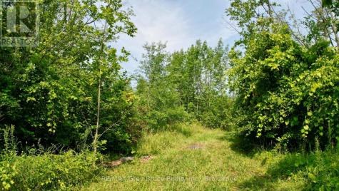 61 Crawford Drive South Bruce Peninsula ON N0H 2T0