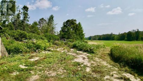 61 Crawford Drive South Bruce Peninsula ON N0H 2T0