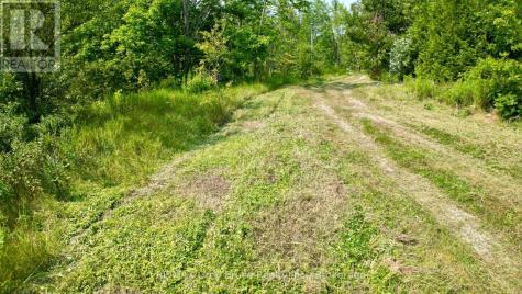 61 Crawford Drive South Bruce Peninsula ON N0H 2T0