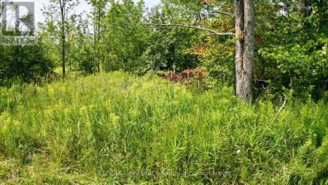 61 Crawford Drive South Bruce Peninsula ON N0H 2T0