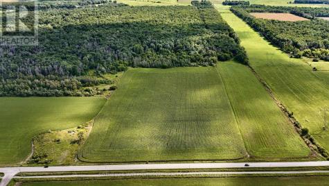 5231 13th Line New Tecumseth ON L0G 1B0