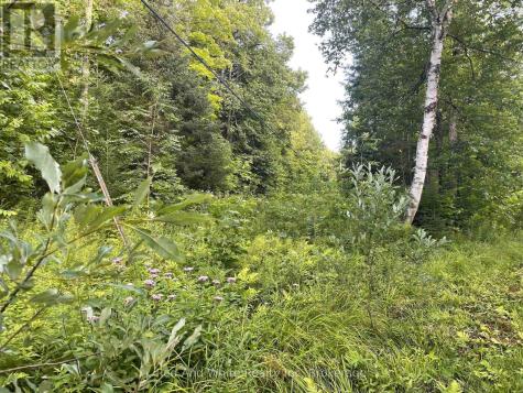 285 Chapman Drive Magnetawan ON P0A 1P0