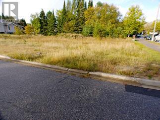 230 Sandy Beach Road Dryden ON P8N 3J6