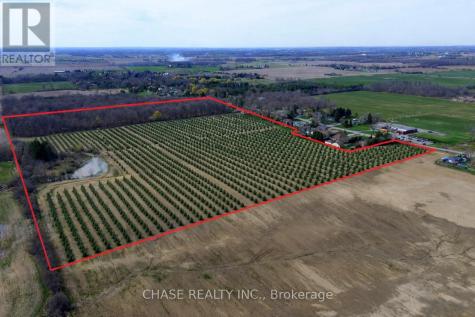 29 Unity Side Road Haldimand ON N3W 1M4