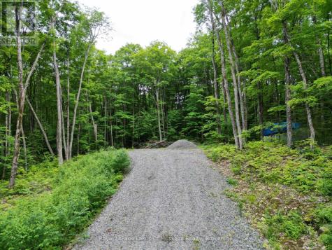 Lot 29 Bay Lake Road Perry ON P0A 1J0