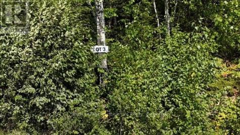 Lot 3 Fox Run Drive Temagami ON P0H 2H0