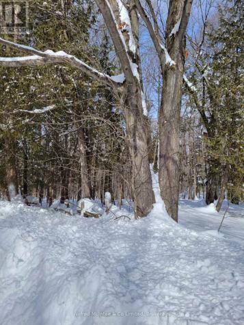 Ptlt 26 Mulock Road West Grey ON N0G 1S0