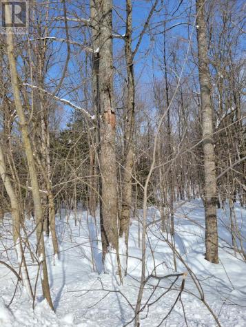 Ptlt 26 Mulock Road West Grey ON N0G 1S0