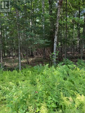 Lt 26 Frank Street Street Magnetawan ON P0A 1Z0