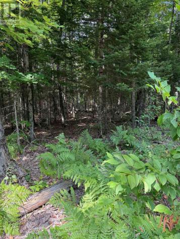 Lt 26 Frank Street Street Magnetawan ON P0A 1Z0
