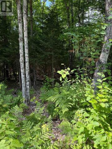 Lt 26 Frank Street Street Magnetawan ON P0A 1Z0