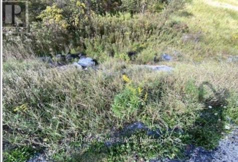 Point Con 5 Point Lot 5 Road Madoc ON K0K 2K0