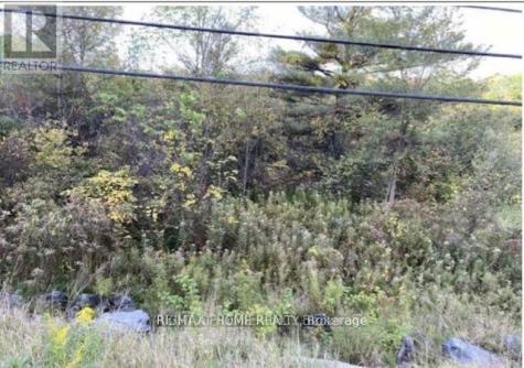 Point Con 5 Point Lot 5 Road Madoc ON K0K 2K0