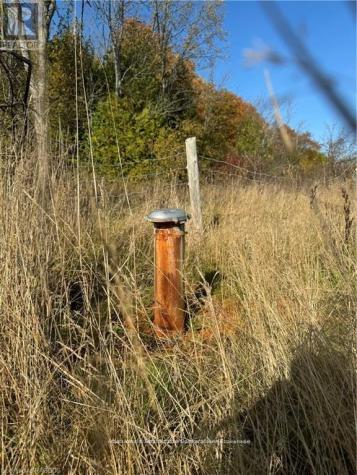 3288 Highway 6 Northern Bruce Peninsula ON N0H 1W0