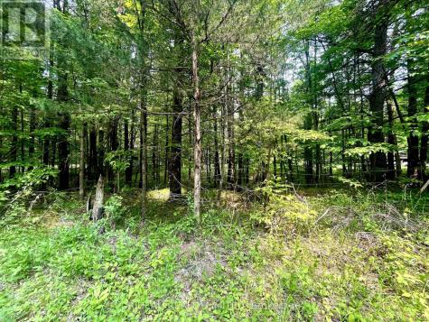 P7 Clear Lake Road Rideau Lakes ON K0G 1E0