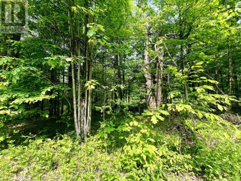 P7 Clear Lake Road Rideau Lakes ON K0G 1E0
