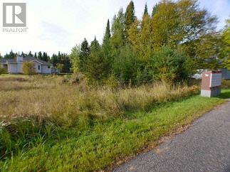 228 Sandy Beach Road Dryden ON P8N 3J6