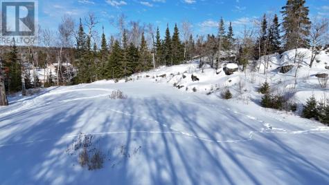 1319 Laurenson Lake Kenora ON P9N 4G9