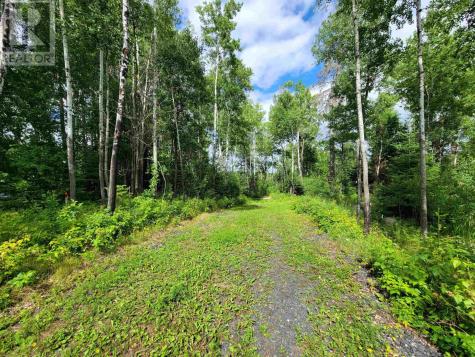 1319 Laurenson Lake Kenora ON P9N 4G9