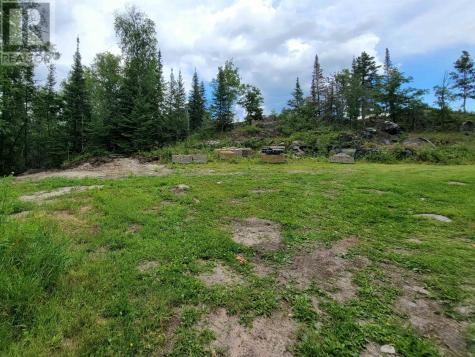 1319 Laurenson Lake Kenora ON P9N 4G9