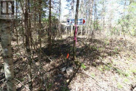 Lot 152 Plan M222 Minaki ON P0X 1J0