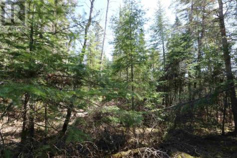 Lot 152 Plan M222 Minaki ON P0X 1J0