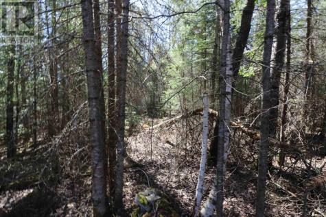 Lot 152 Plan M222 Minaki ON P0X 1J0
