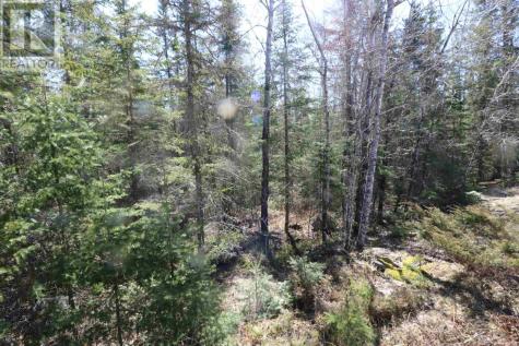 Lot 152 Plan M222 Minaki ON P0X 1J0