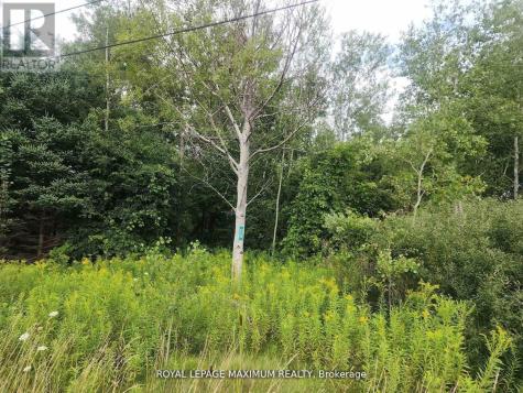 20223 Bathurst Street East Gwillimbury ON L9N 1N3