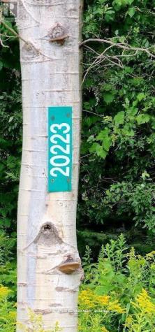20223 Bathurst Street East Gwillimbury ON L9N 1N3