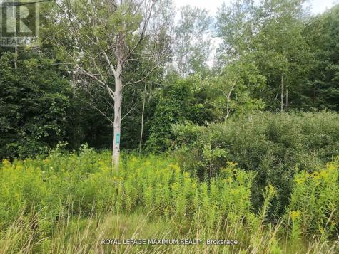 20223 Bathurst Street East Gwillimbury ON L9N 1N3