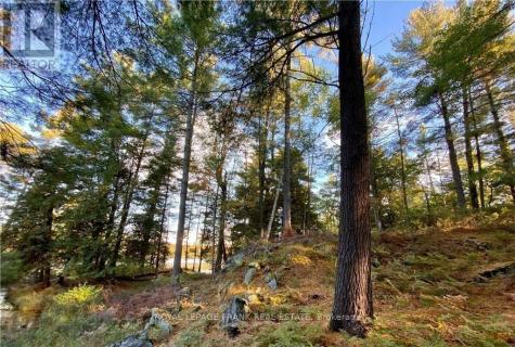 0 Horseshoe Island North Kawartha ON K0L 2H0